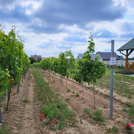 Winnica Anna * Krosnice