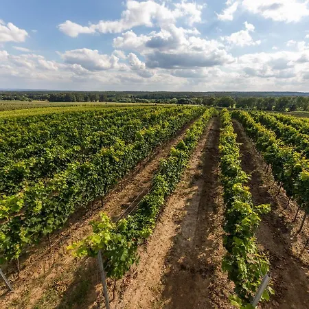 Agroturismo Winnica Anna Krosnice