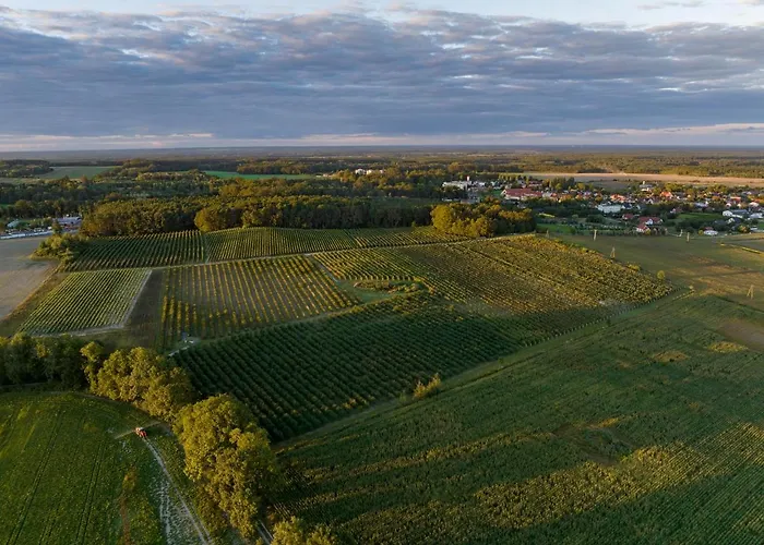 Bauernhof Winnica Anna