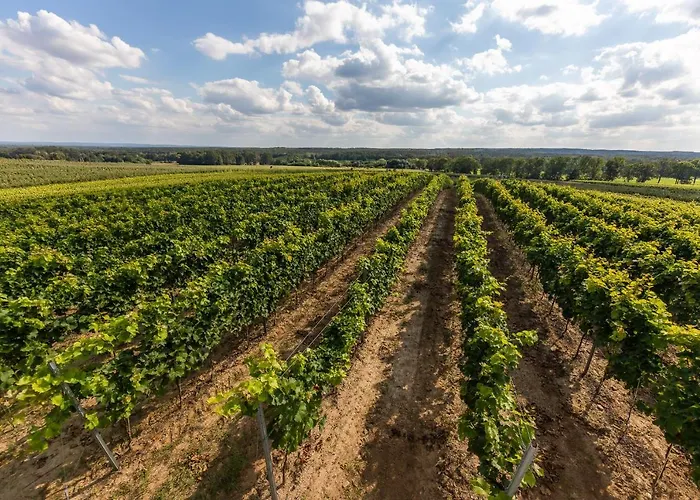 ファームステイ Winnica Anna Krosnice