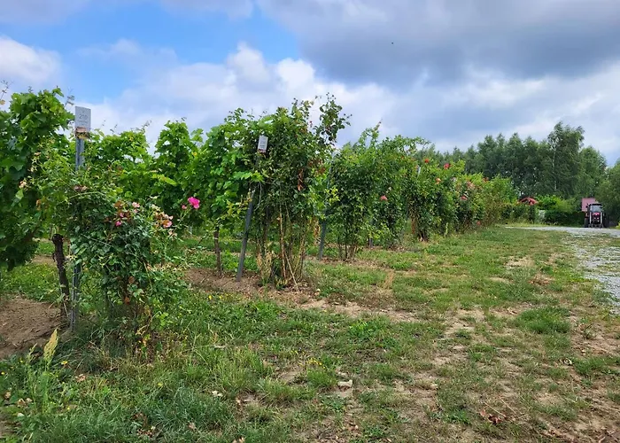 Winnica Anna ファームステイ *